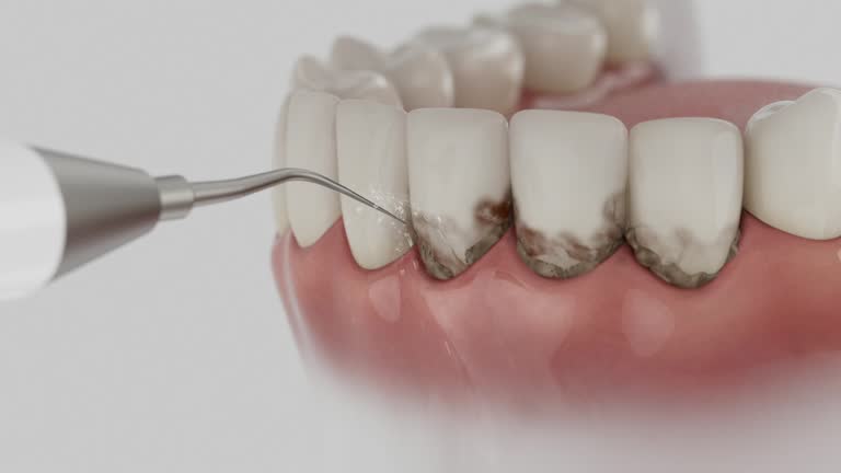 Reliable Dental contractor in Crestline, OH by Dentist Open Now